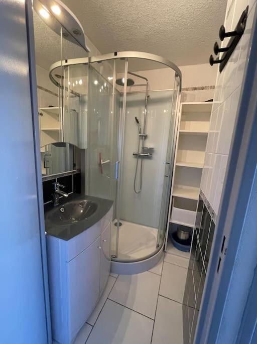 Superbe Appartement 6 Personnes Avec Piscine Secteur Richelieu, A 400M De La Plage Et A 650M Du Centre Port Agde Εξωτερικό φωτογραφία